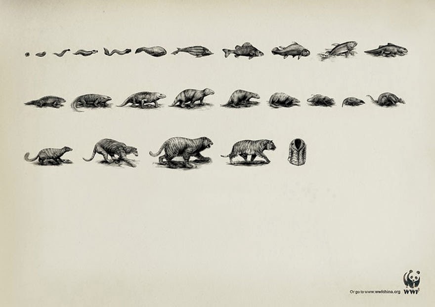 WWF: Evolution - 33 Powerful Animal Ad Campaigns That Tell The Uncomfortable Truth WWF: Evolution - 33 Powerful Animal Ad Campaigns That Tell The Uncomfortable Truth