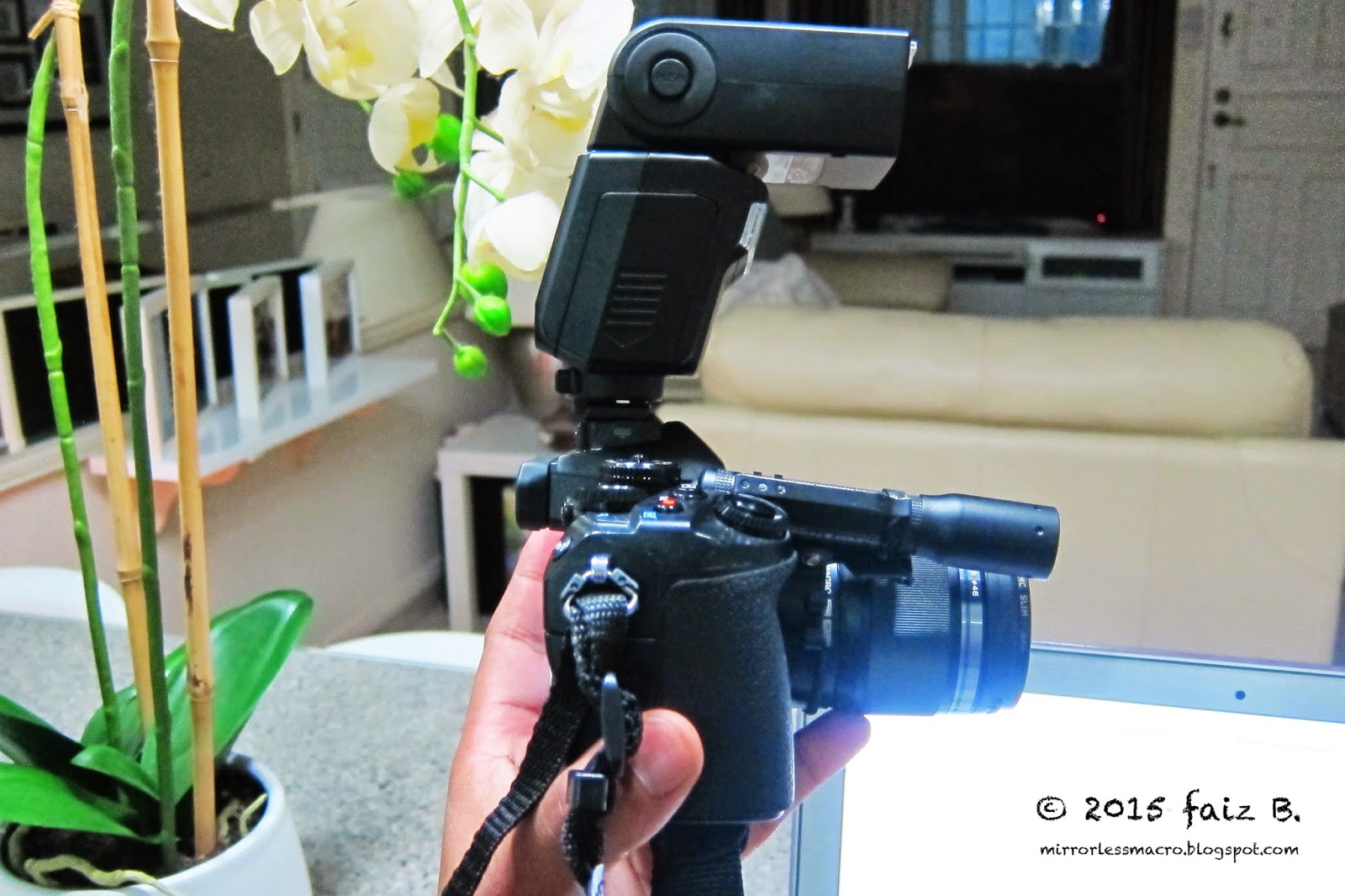 Mirrorless Macro Photography Macro Diffusion for the Mirrorless Camera