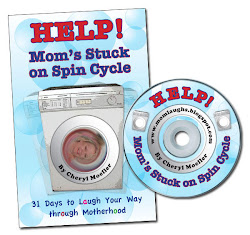 Buy Now - Help! Mom's Stuck on Spin Cycle Book and CD