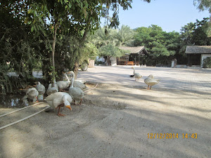 View of entrance of "RANN RIDERS" resort in Dasada village.