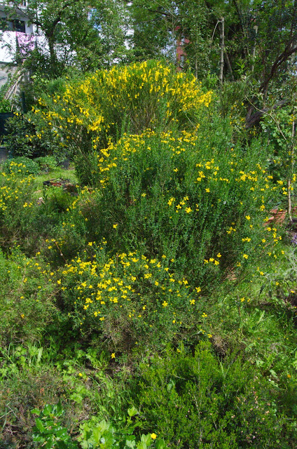 Jardín de la Oca, Toti Martínez de Lezea, Keko Alonso