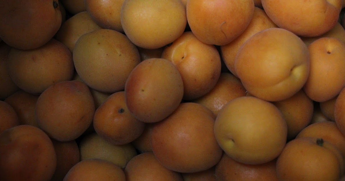 Baker Mama Love Drying Apricots