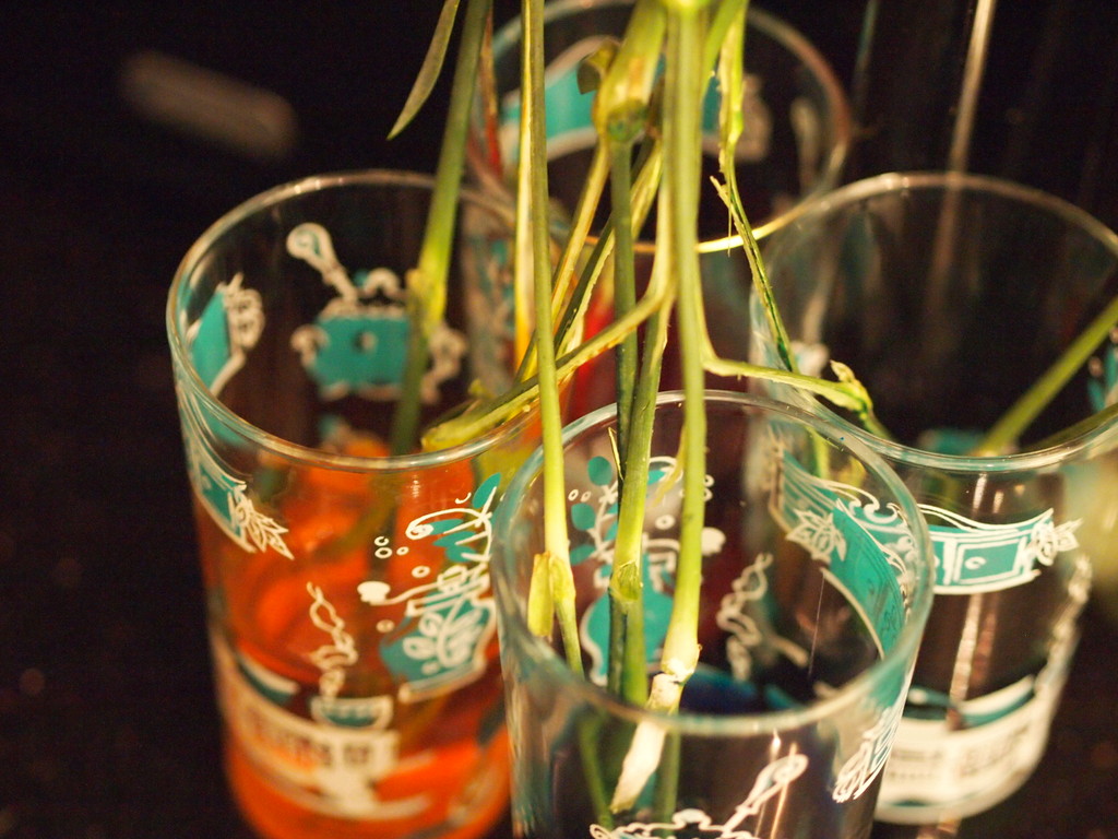 Make your own rainbow flowers Pink Stripey Socks