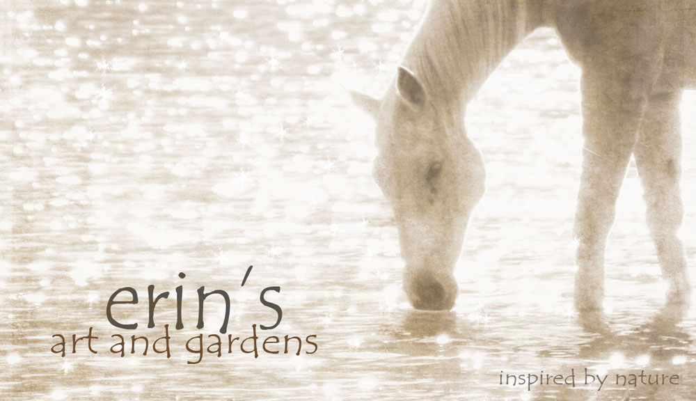 erin's art and gardens