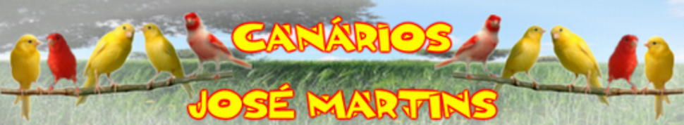 CANÁRIOS JOSÉ MARTINS