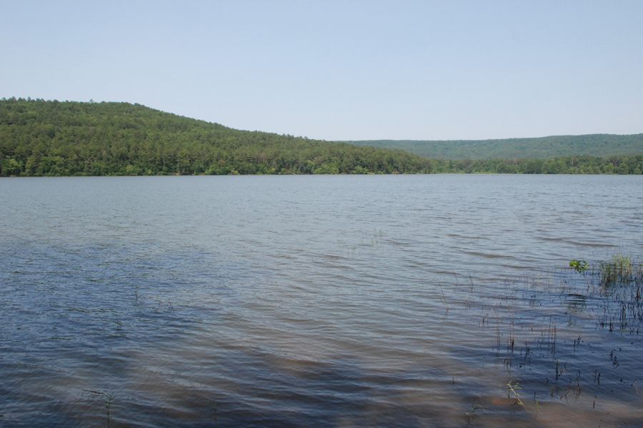 Of Wings and Wanderings