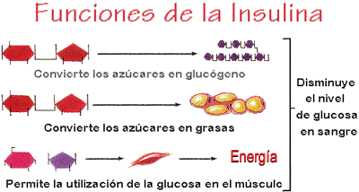 Tratamiento Diabetes Tipo 2 Tratamiento Diabetes Tipo 2