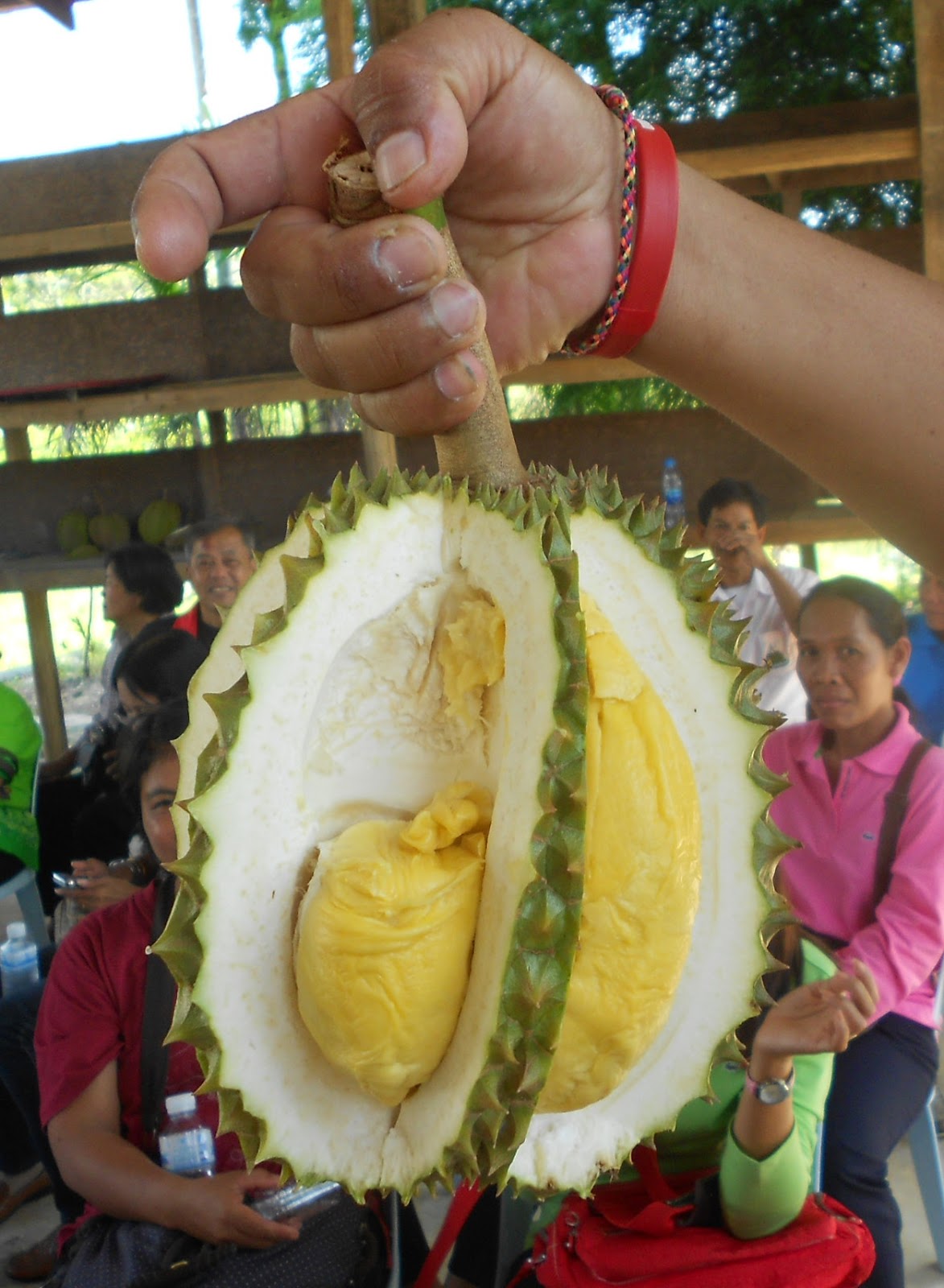 How to Open A Durian