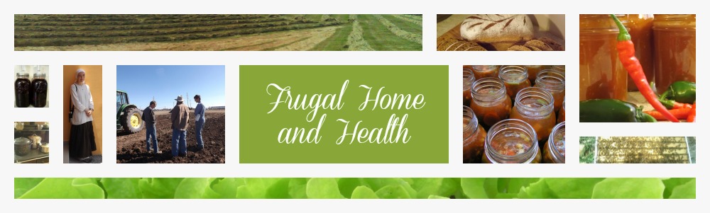 Frugal Home and Health