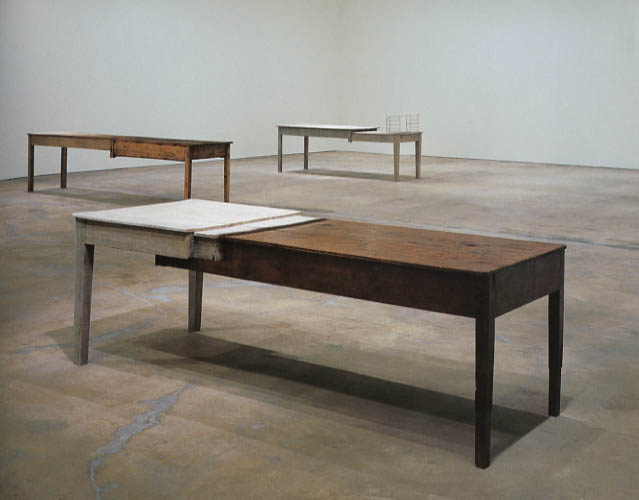 Doris Salcedo Art