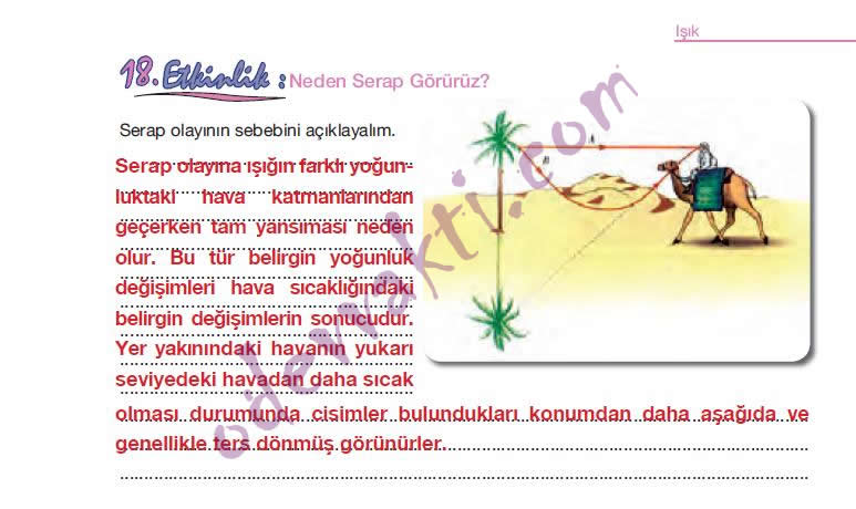 Fen ve teknoloji çalışma kitabı sayfa (128-129) in cevapları Fen ve teknoloji çalışma kitabı sayfa (128-129) in cevapları