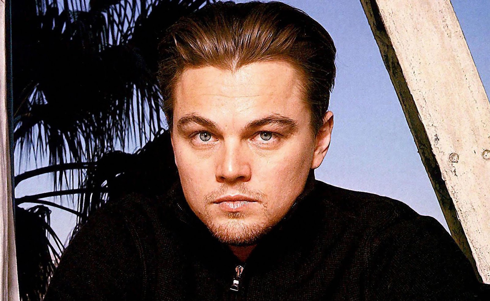 http://1.bp.blogspot.com/-j-Ie99PsiqE/UJV9_tXDJbI/AAAAAAABSf0/4RwLi7uEswU/s1600/leonardo_dicaprio10.jpg