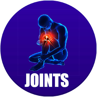 西班牙语的关节 西班牙人身体的关节