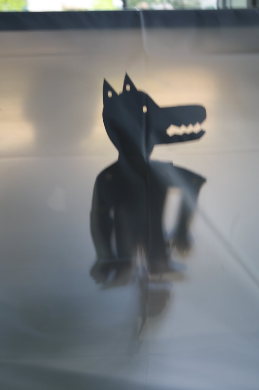 Heidi Boyd Playing with Shadow Puppets