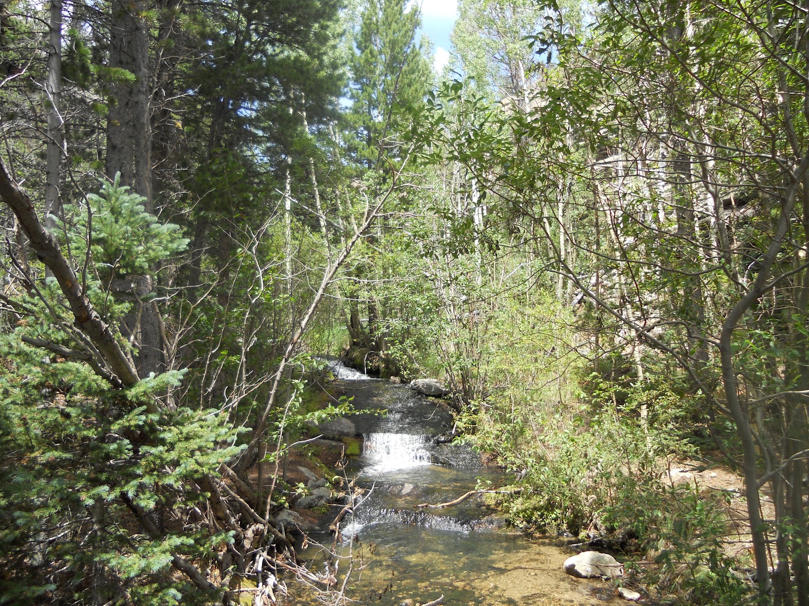 Review Hikes and Books Hike Review Cow Creek Trailhead to Bridal