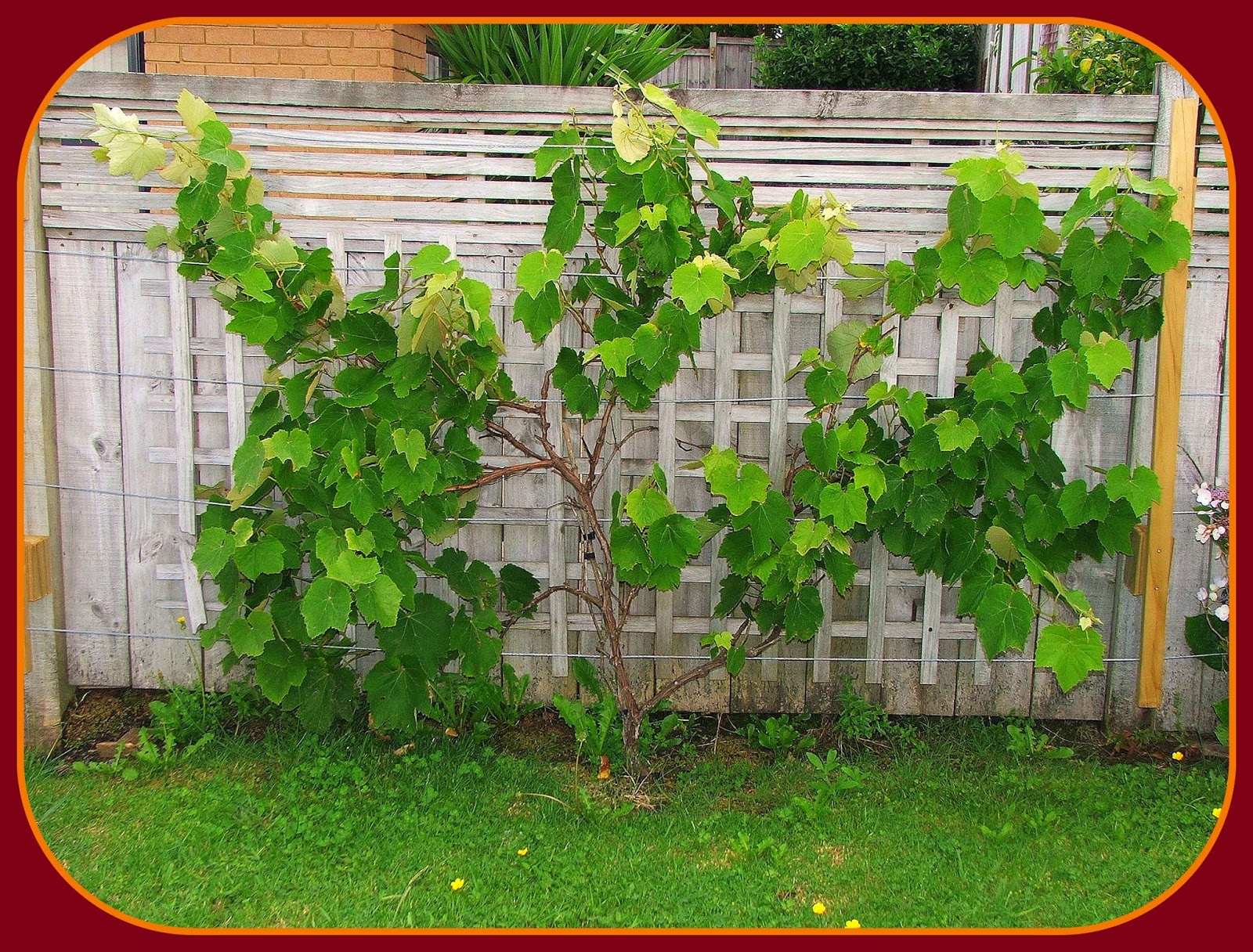 DIET COKE ROCKS: THE HOLE IS BACK... AND PLANTS