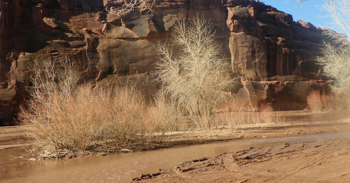 Red Rock Report Canyon De Chelly Chinle, AZ