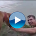 بالفيديو:كلب وفي جدا يحاول انقاذ صاحبه فيصدم برأسه