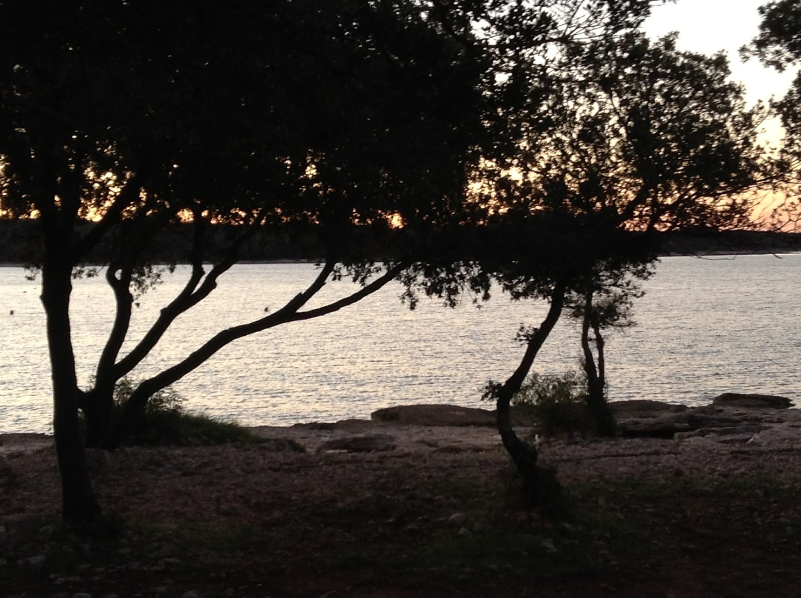 Gastehaus Schlagbauer Urlaub In Bayern Almabtrieb Reit Im Winkl