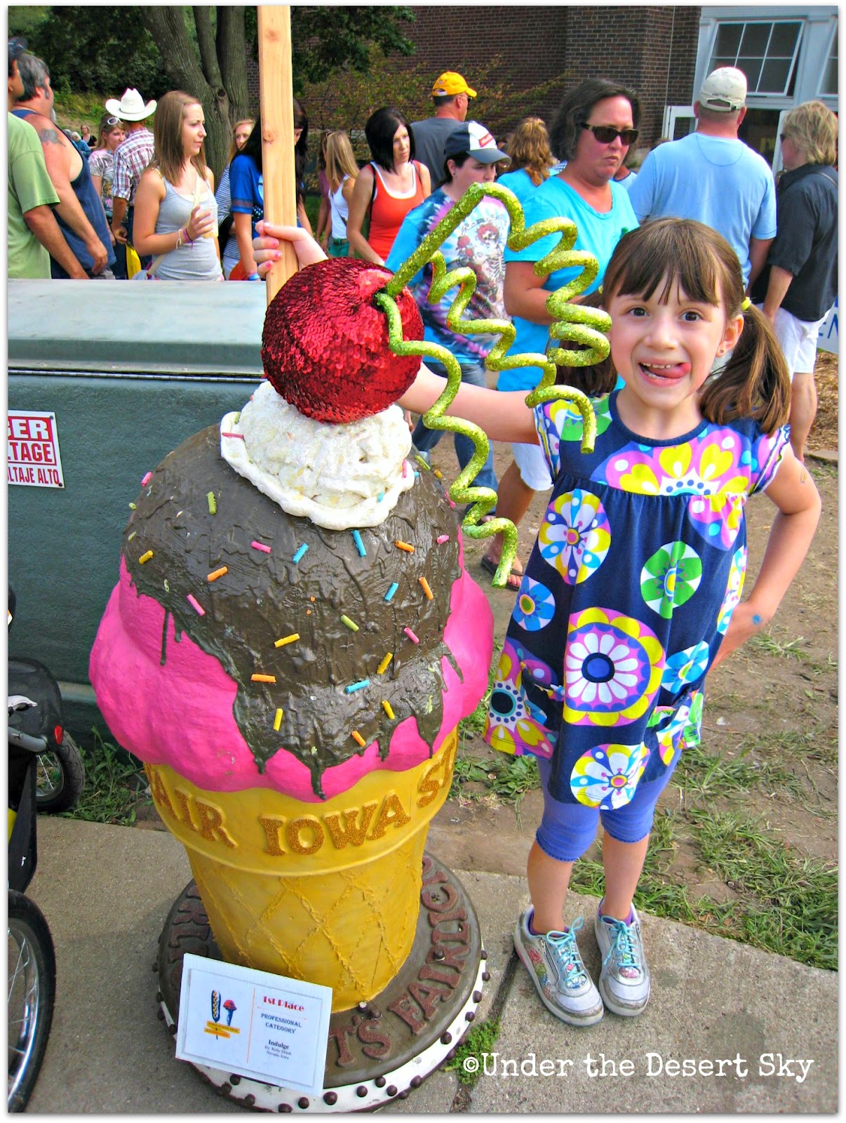 Under the Desert Sky 2012 Iowa State Fair Photos, Round 2