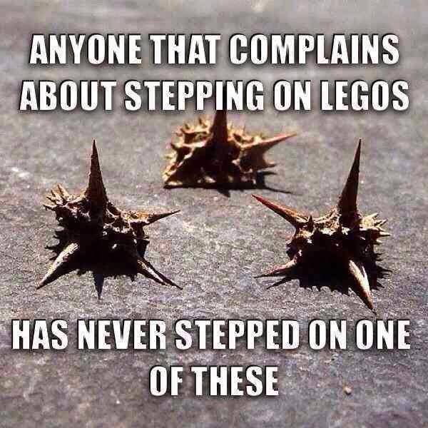 Anyone that complains about stepping on legos, has never stepped on one