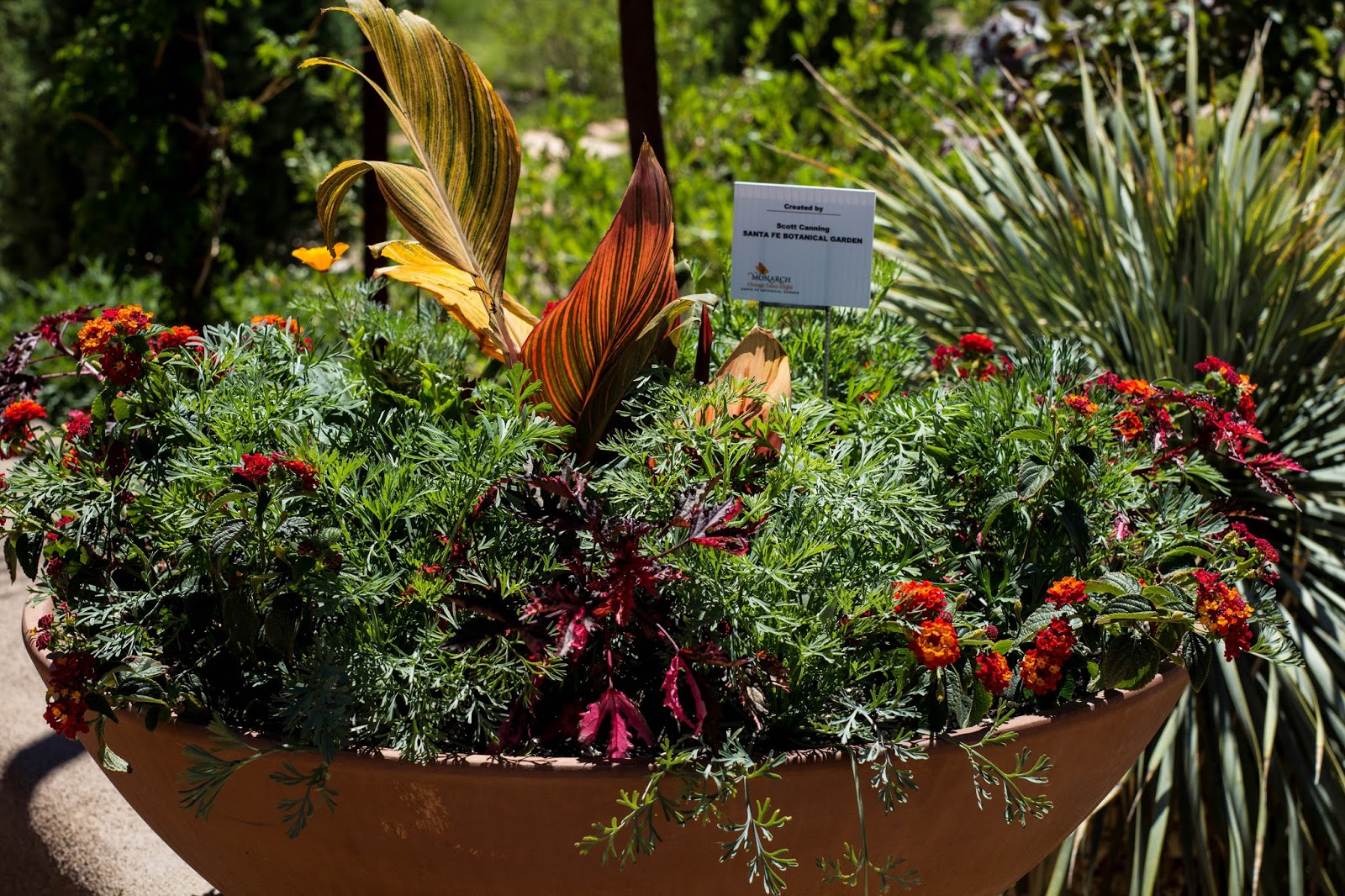 Chasing Santa Fe MEANDERING THE SANTA FE BOTANICAL GARDEN
