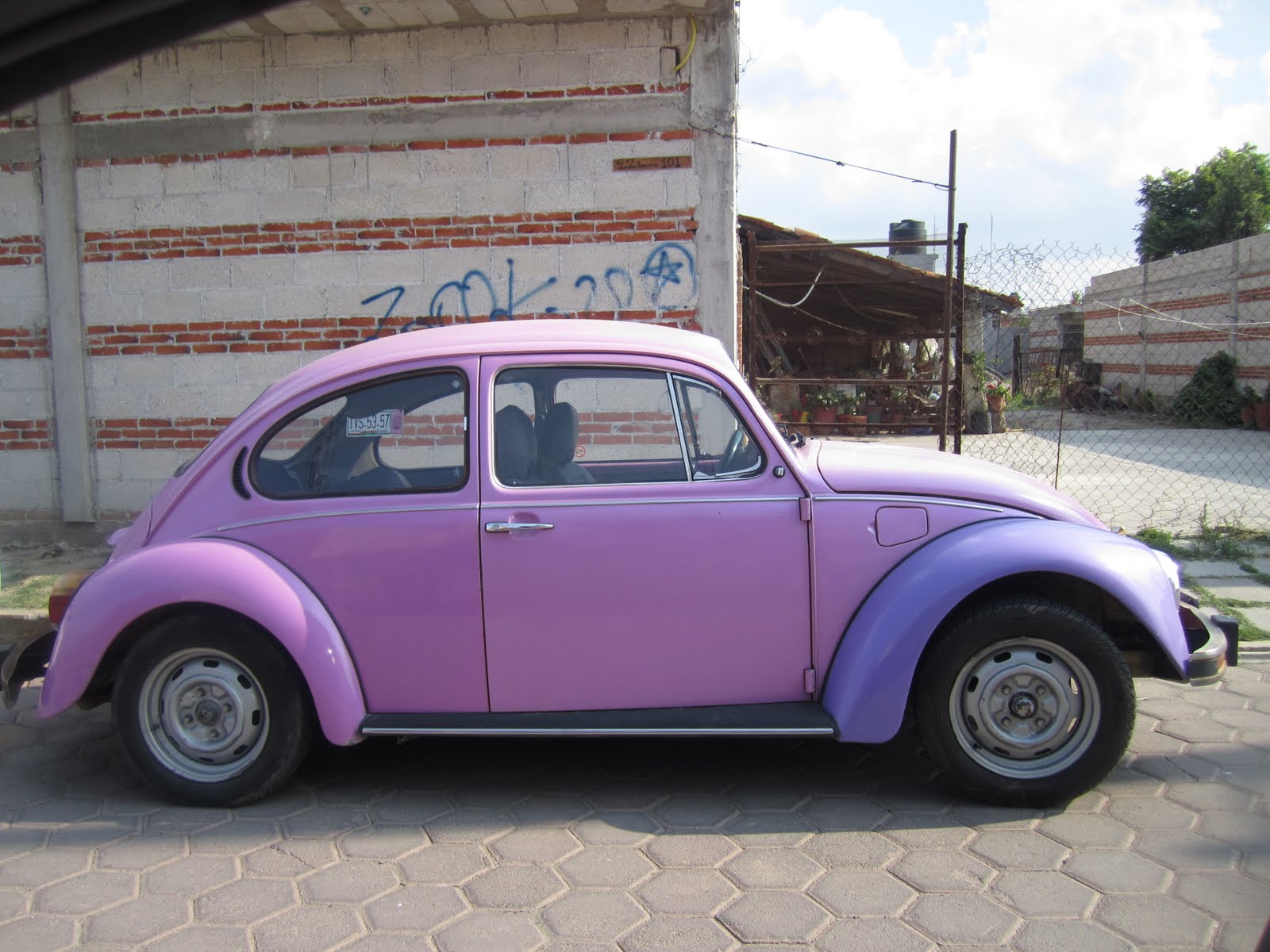 Jesse and Ashley: June 13 Slug Bugs