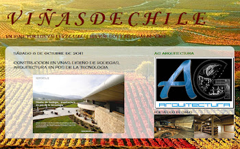 VIÑAS DE CHILE