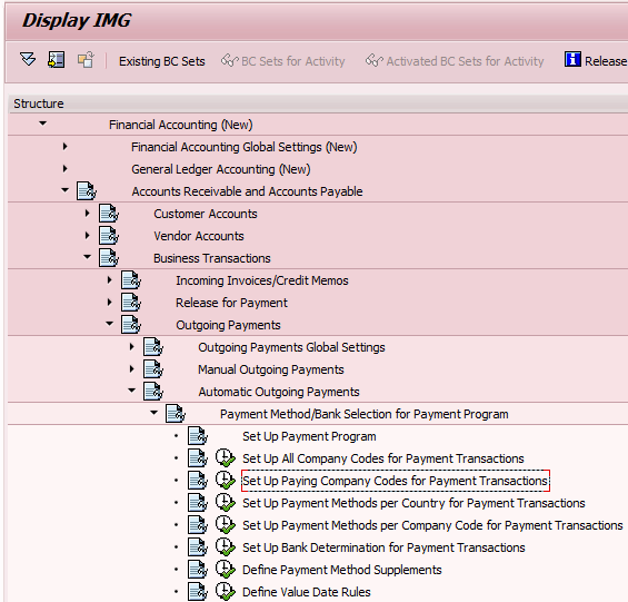Set Up Paying Company Codes for Payment Transactions