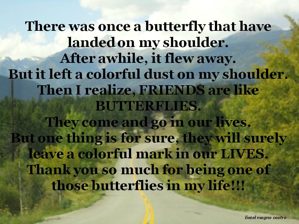 Daily Slice of Heaven Friends are Like Butterflies