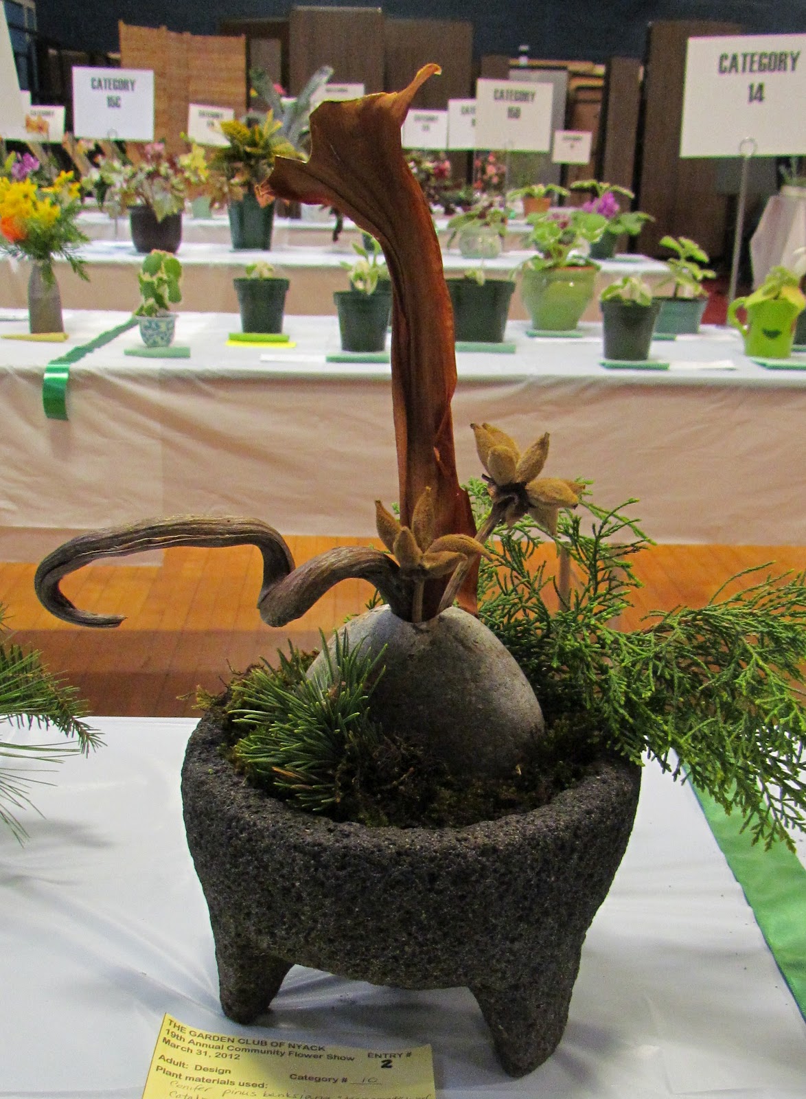 Nyack Backyard Garden Club of Nyack Centennial Flower Show