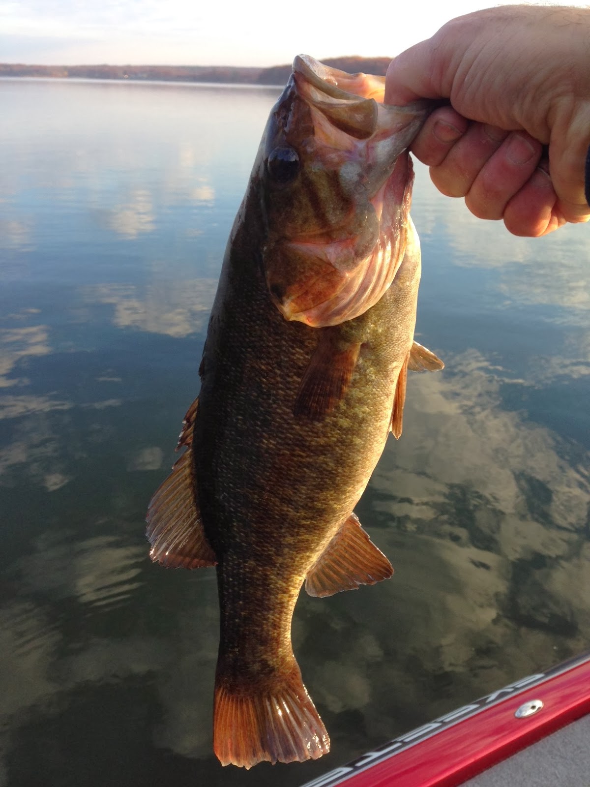 Smallie Fishing Lake Wallenpaupack Fishing Report 11/2/13