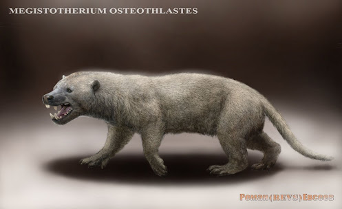 creodonta hyaenodontidae Megistotherium