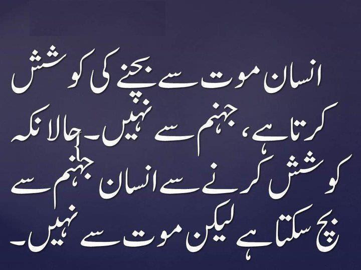 beautiful quotes in urdu pdf download
