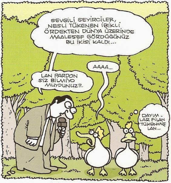 Kızlı Erkekli Kedili Facebook ve Karikatürler Kızlı Erkekli Kedili Facebook ve Karikatürler