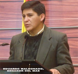 Eduardo Maldonado Iporre