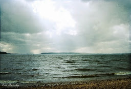 Kentucky Lake at Paris Landing