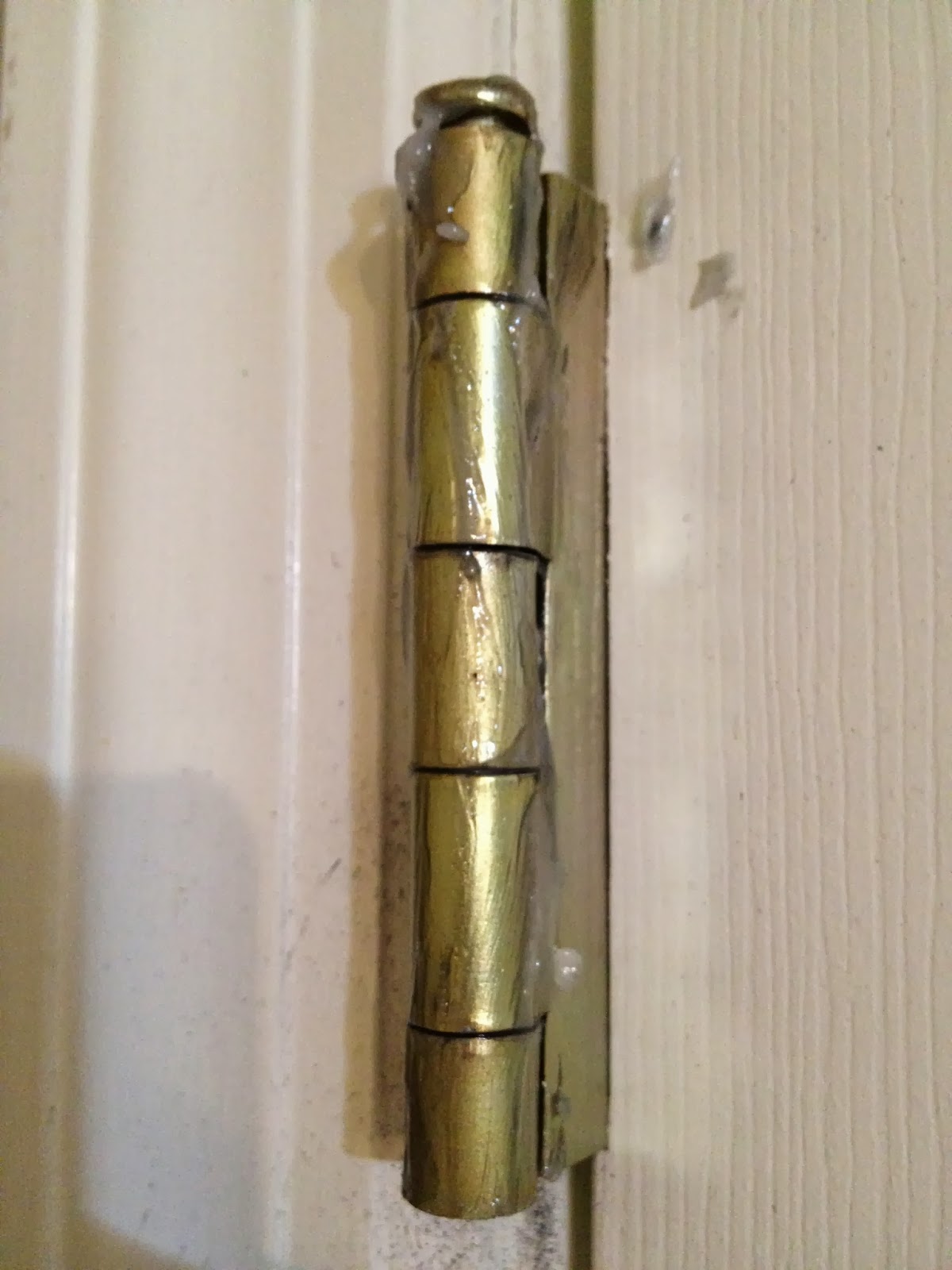 The DIY Guinea Pig No More Squeaky Hinges