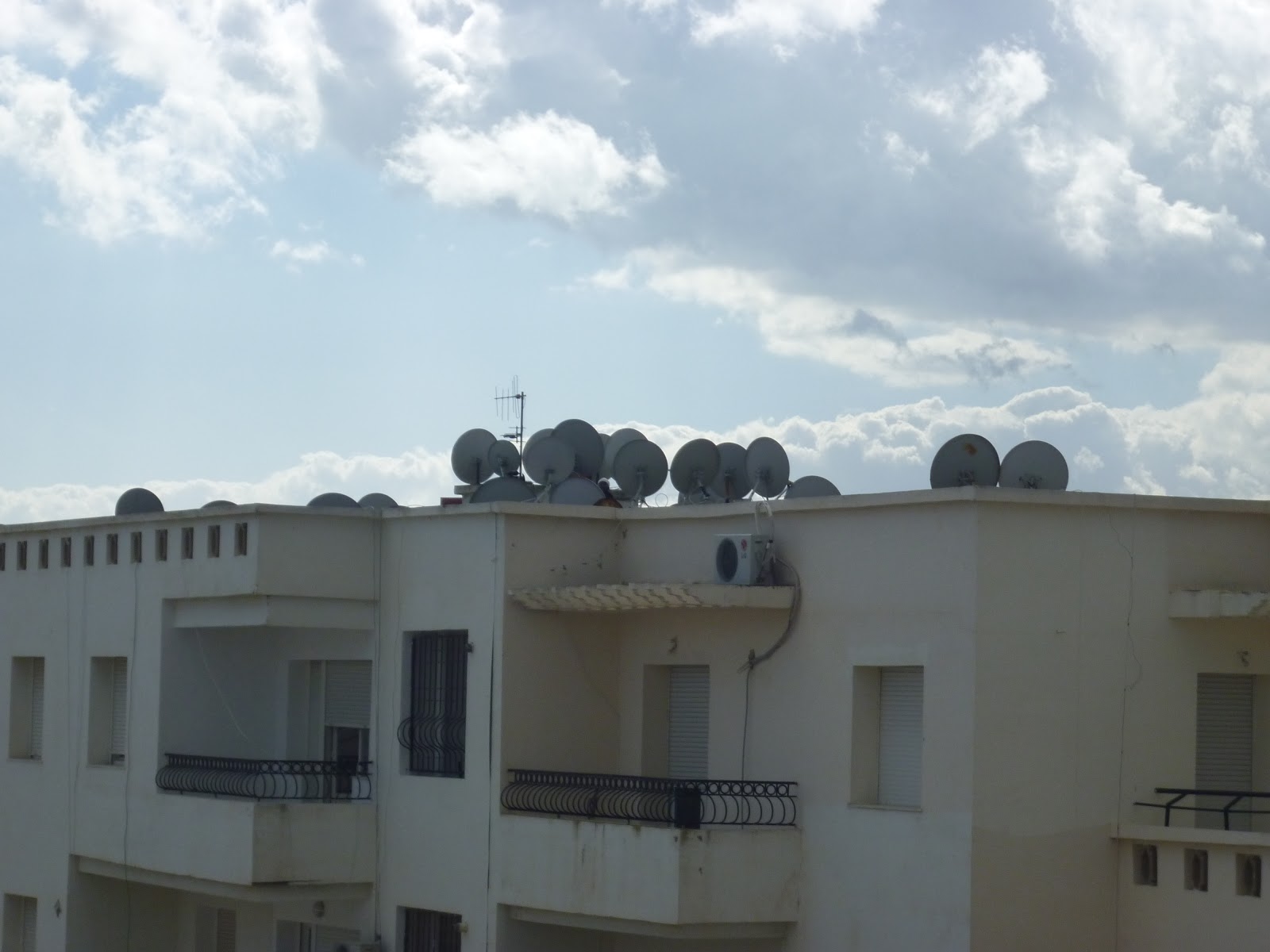 アフリカ大陸 1月 13