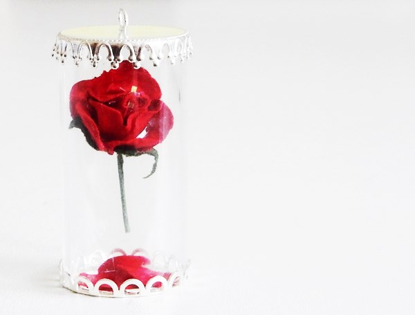 Le Retour Chez Canelle Fleurs Du Jardin