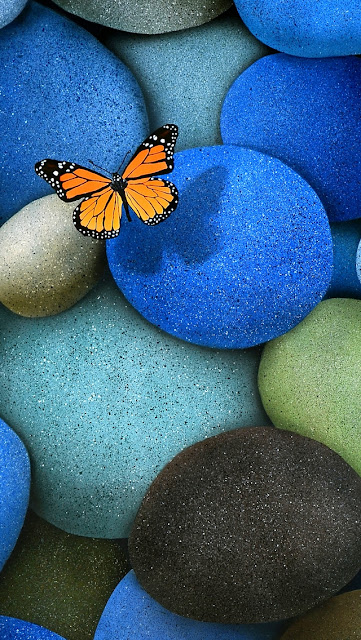 Lonely Butterfly iPhone 5 Wallpaper