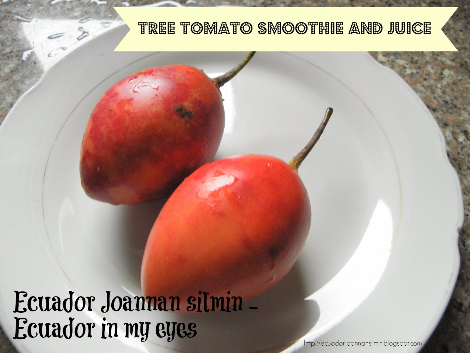 Ecuador Joannan silmin Ecuador in my eyes Tree tomato, or tamarillo, smoothie and juice