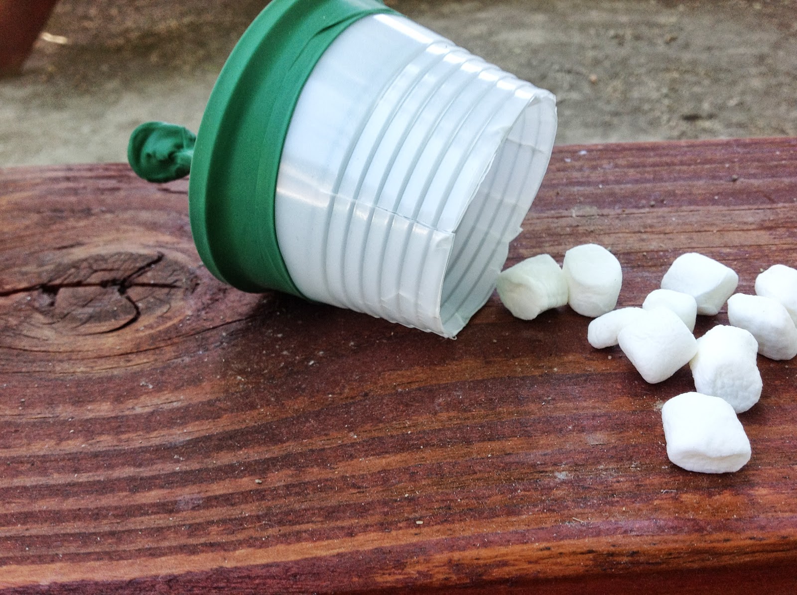 Puddle Wonderful Learning The Great Marshmallow Shoot Out