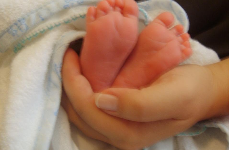 Demir Bebek ve Anne Sütü Necla Sölen