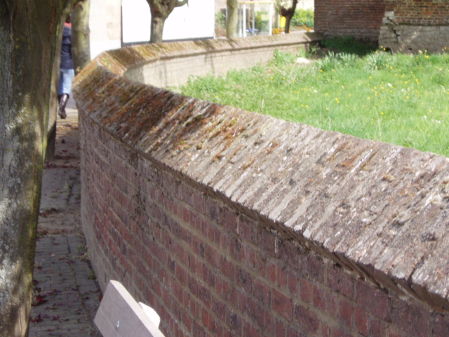 METIDO EN JARDINES: Elementos del Jardín: Cerramientos