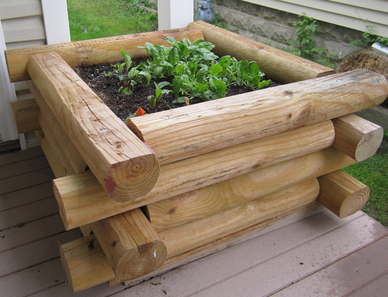 Wooden Box Garden / Six Sisters' Stuff Six Sisters' Stuff