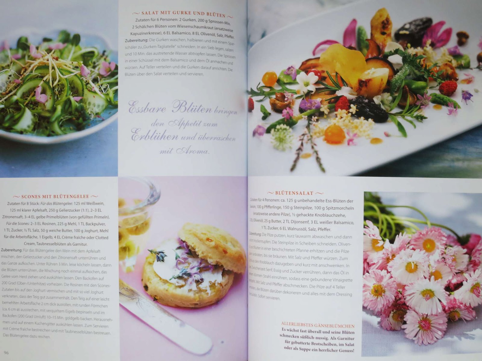 Ninschis Sammelsurium Buch Rezepte Aus Dem Garten