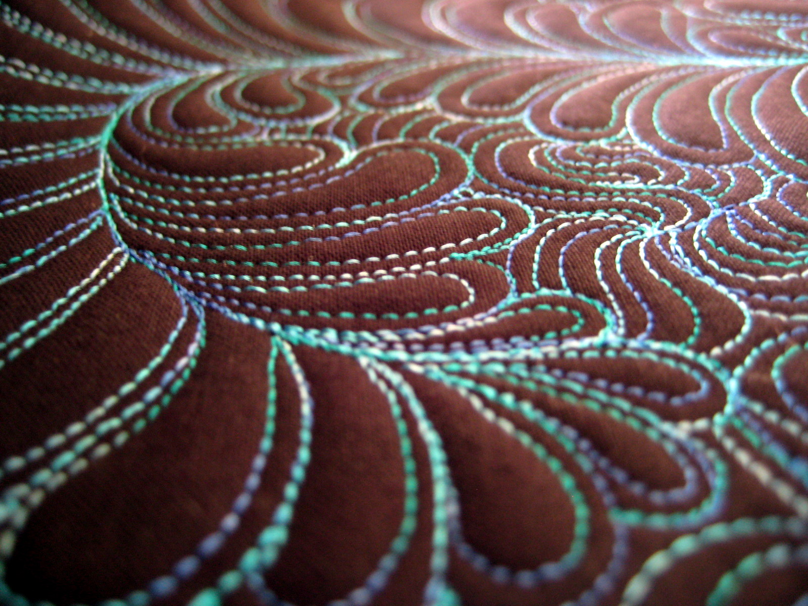 Amy's Free Motion Quilting Adventures Free Motion Mondays A Quilting