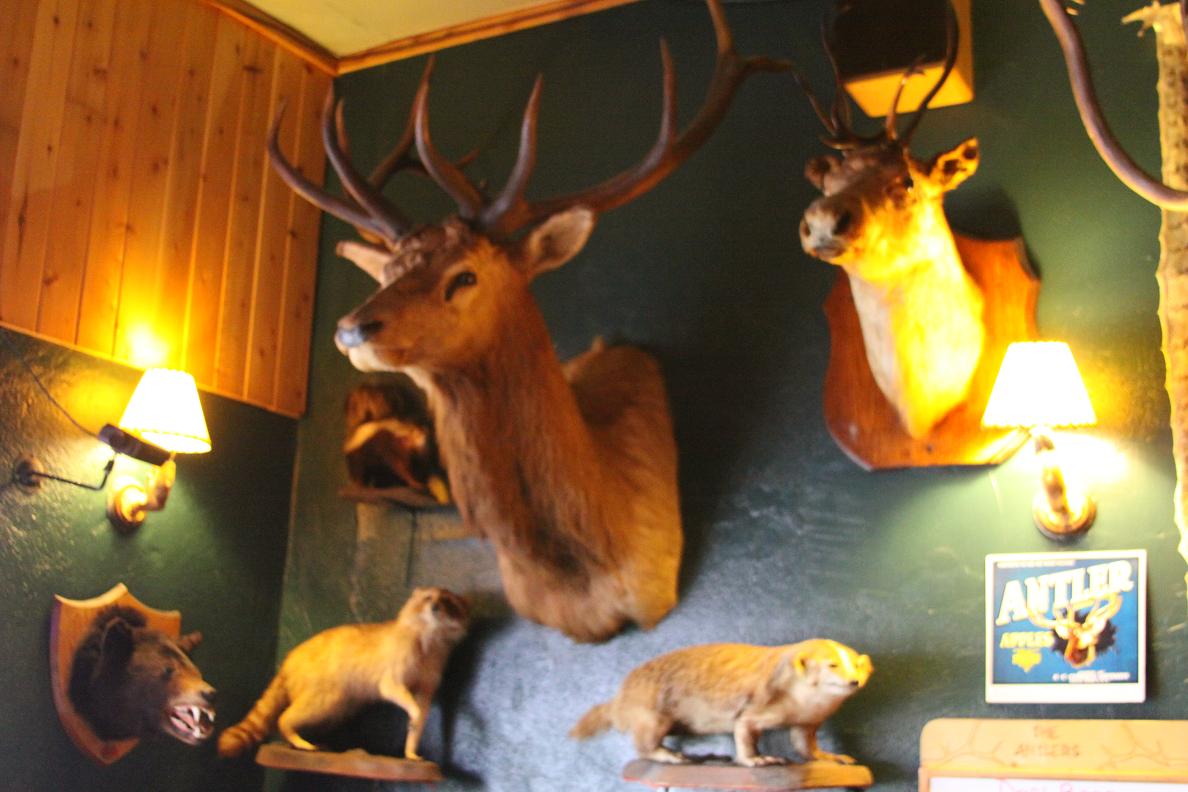 Michigan Exposures The Antlers Restaurant