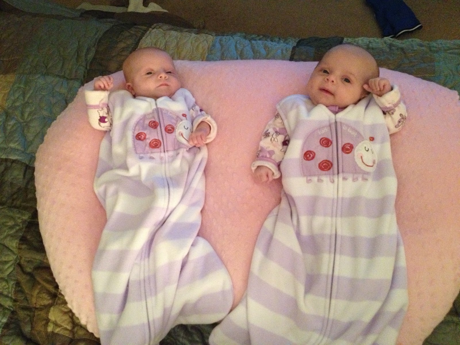 A Lucky Ladybug Twin Z Nursing Pillow Review and Giveaway